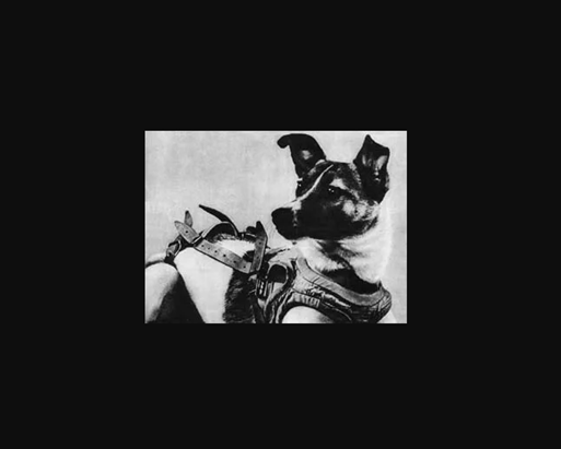 스크린샷 2024-10-09 135529.png