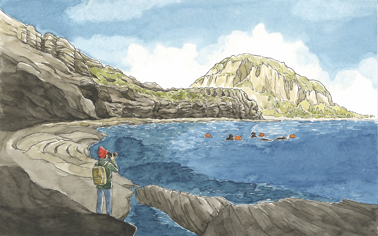 Screen Shot 2017-05-06 at 7.03.37 PM.png