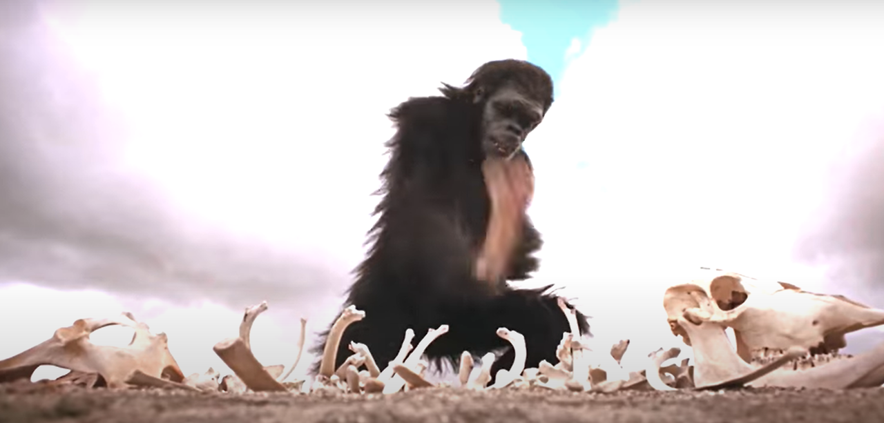 스페이스 오디세이아.png