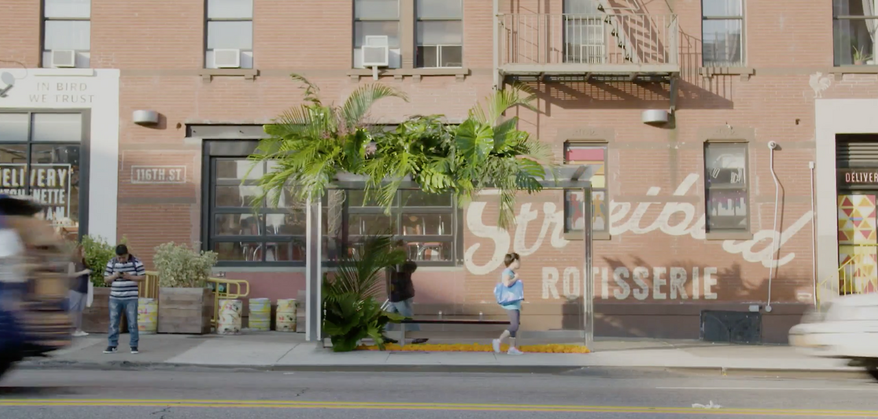 Screen Shot 2017-07-31 at 12.08.08 PM.png