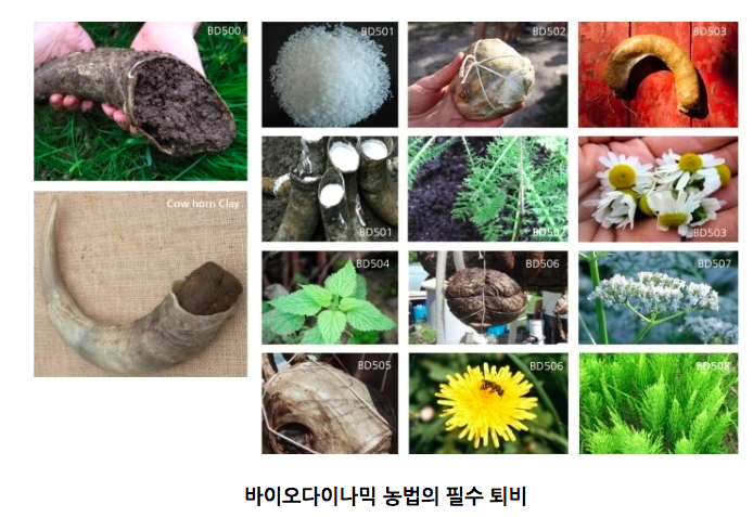 스크린샷 2022-08-06 오후 12.17.15.png