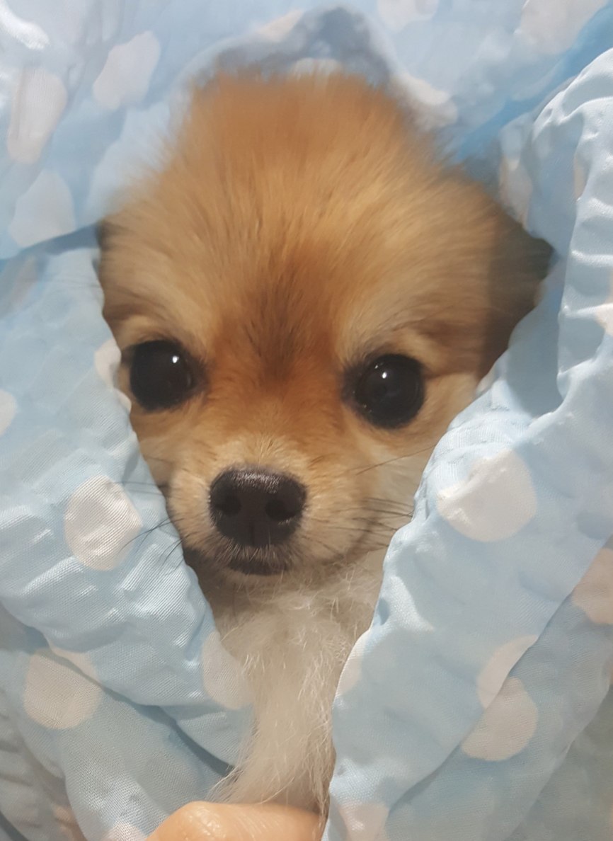 스크린샷 2018-12-05 오후 7.34.09.png