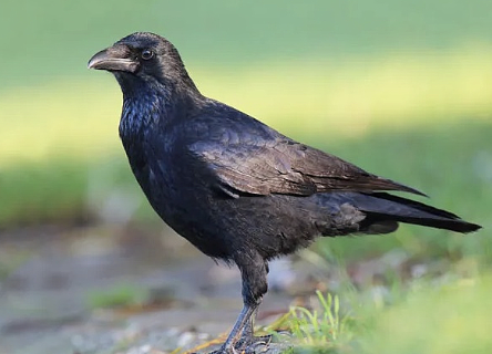 스크린샷 2024-09-06 오후 4.37.30.png