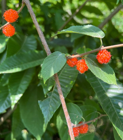 스크린샷 2025-01-03 오후 3.42.53.png