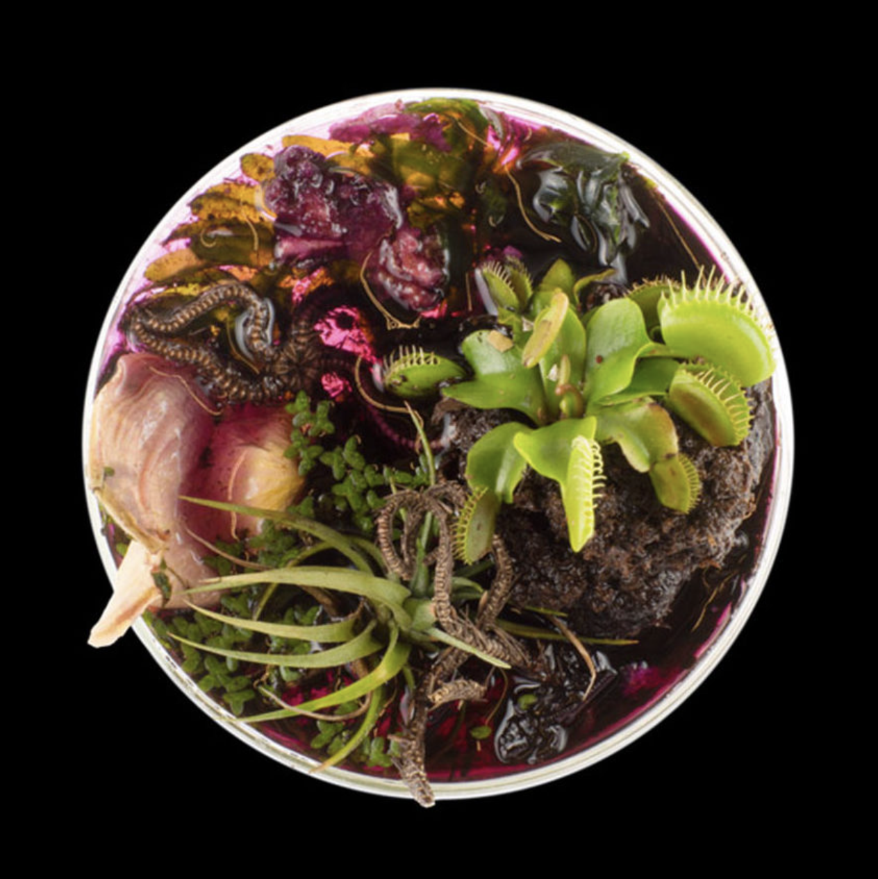 스크린샷 2024-11-01 오후 6.10.22.png