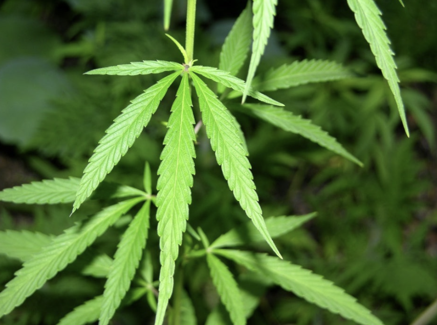 스크린샷 2024-10-18 오후 2.11.00.png