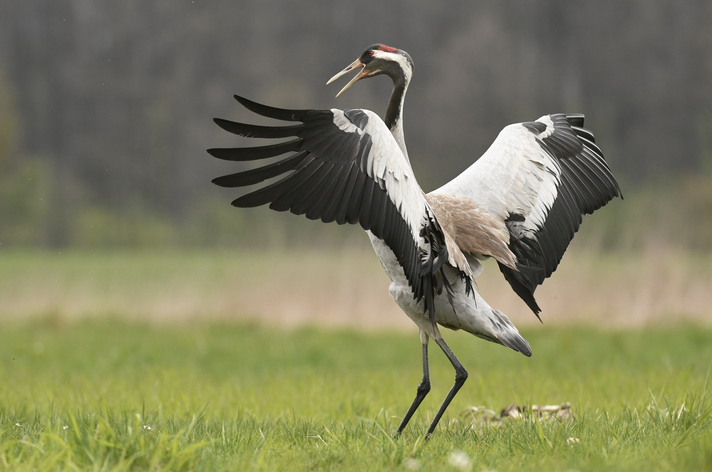 스크린샷 2024-09-06 오후 4.33.47.png