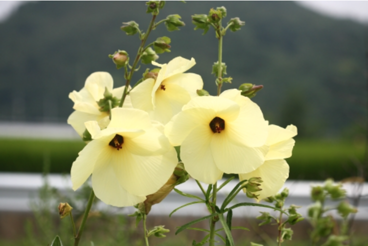 스크린샷 2025-01-03 오후 5.09.46.png