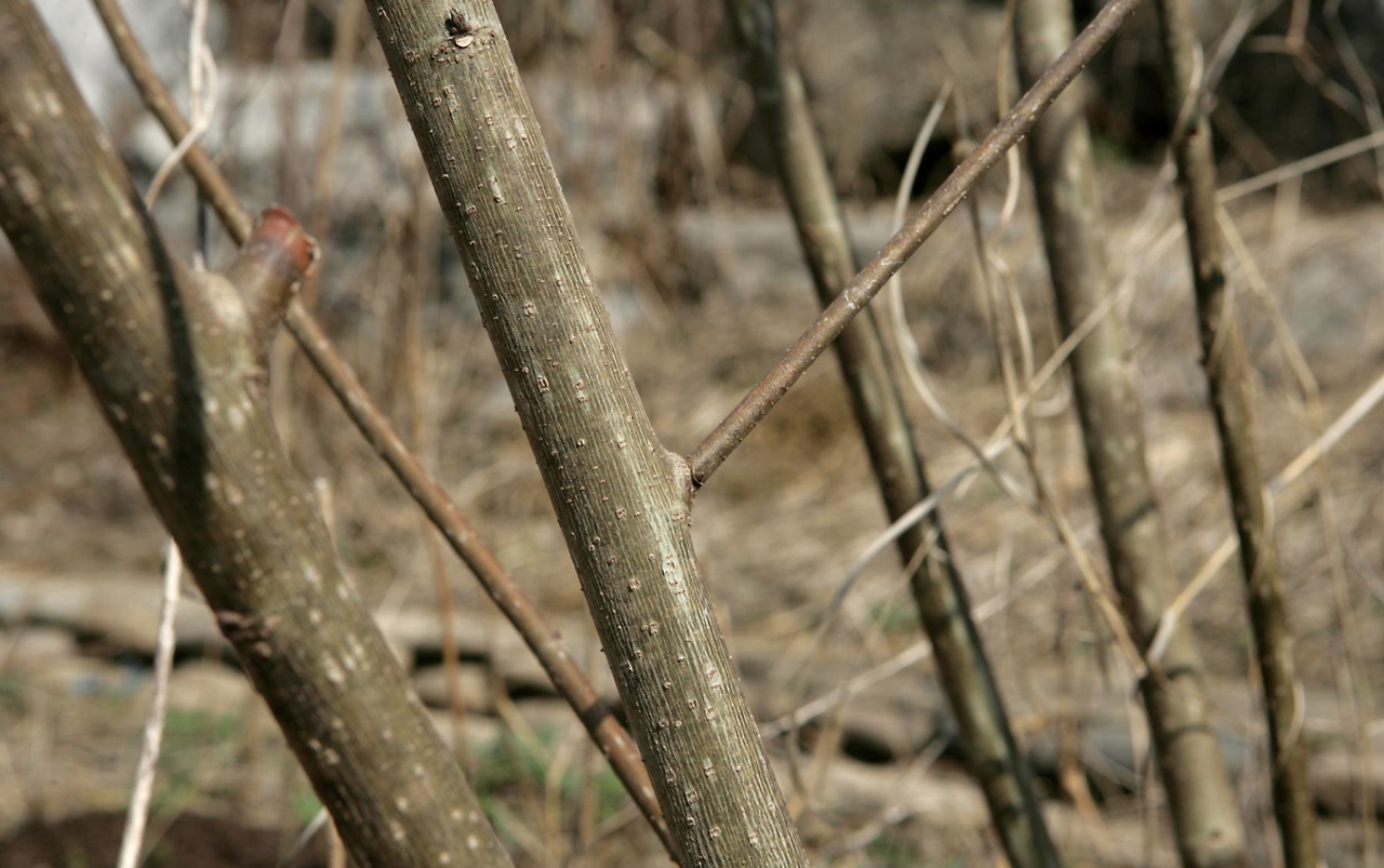 스크린샷 2025-01-03 오후 5.33.49.png