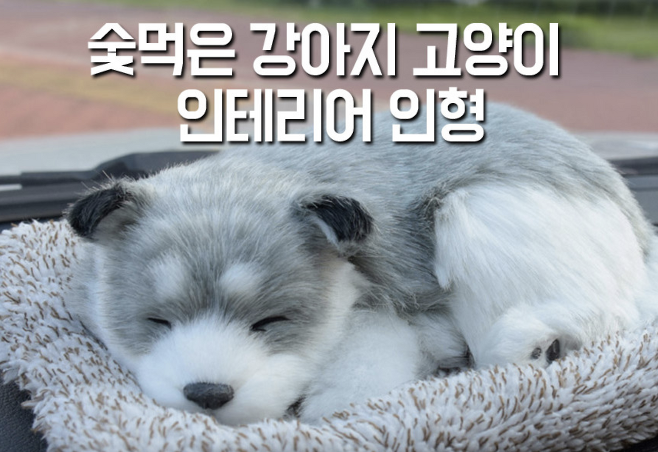 스크린샷 2020-11-20 오전 6.14.53.png