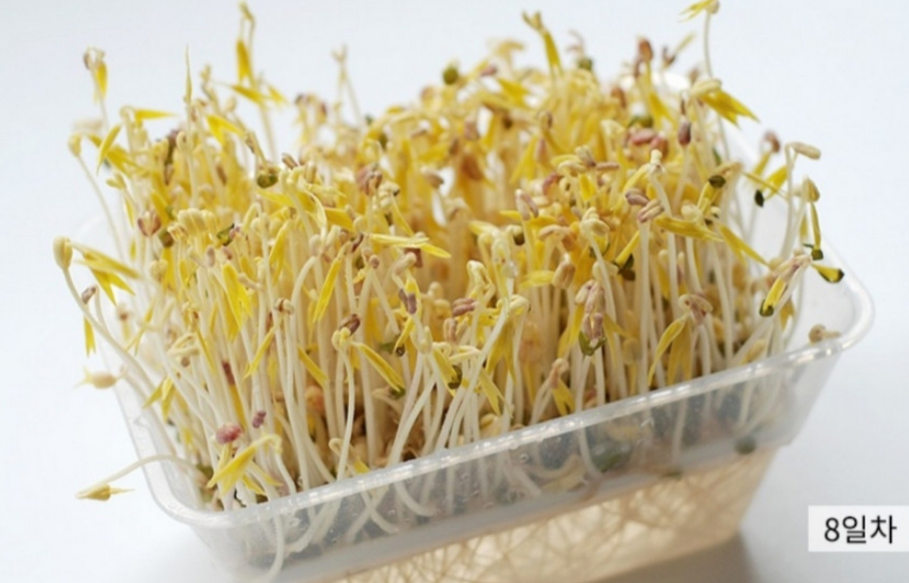 스크린샷 2020-07-30 오전 7.31.38.png