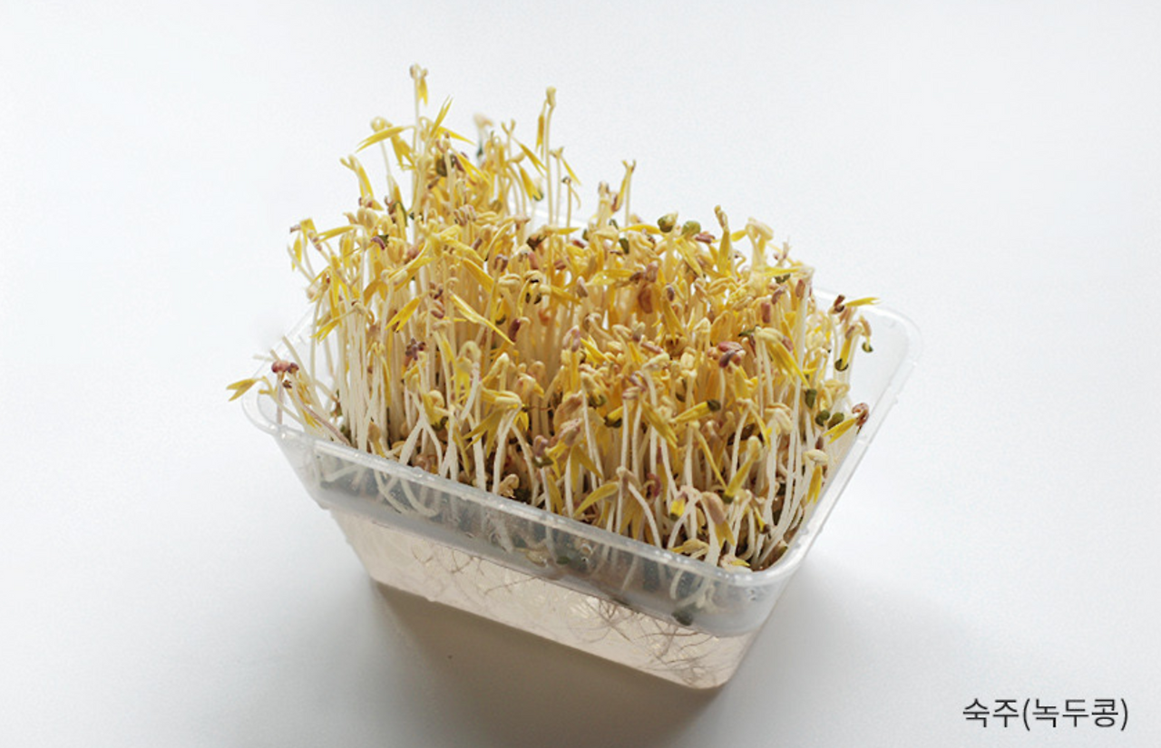 스크린샷 2020-07-30 오전 7.34.43.png