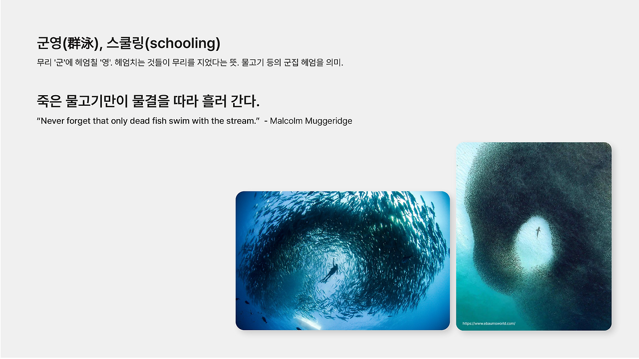 KakaoTalk_Photo_2023-07-13-07-14-14 002.png