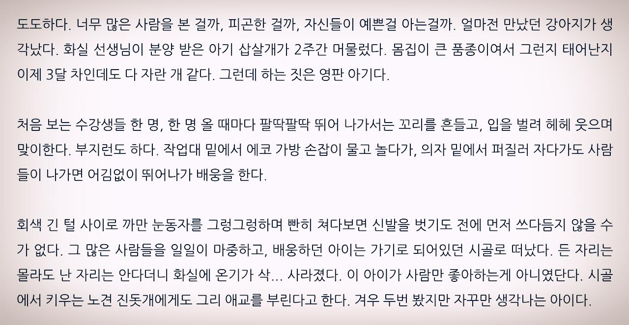 스크린샷 2020-01-05 오전 7.01.24.png