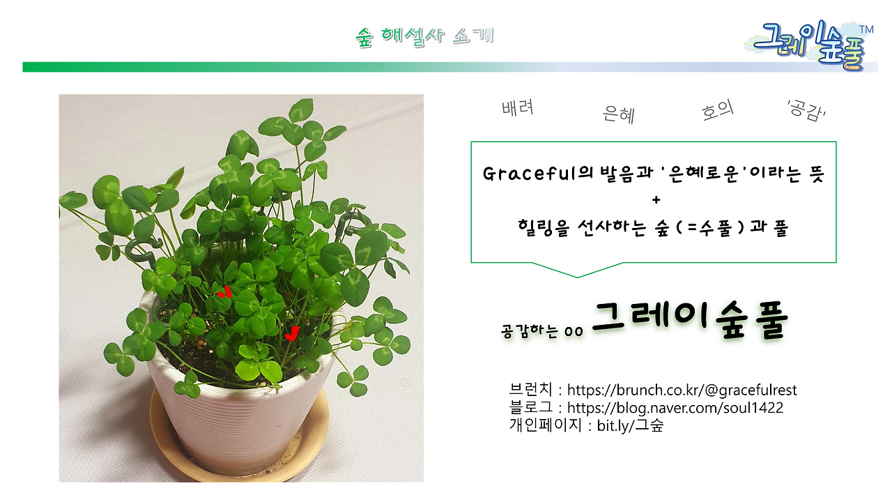 그레이숲풀 브랜딩 (2)_1.png