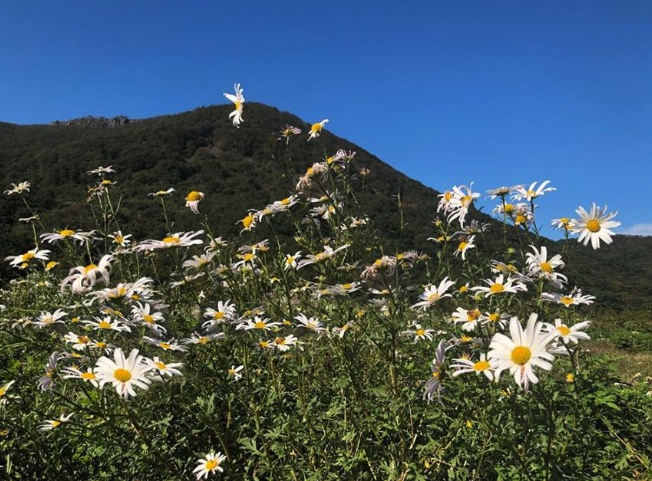 스크린샷 2020-02-25 오전 8.25.48.png