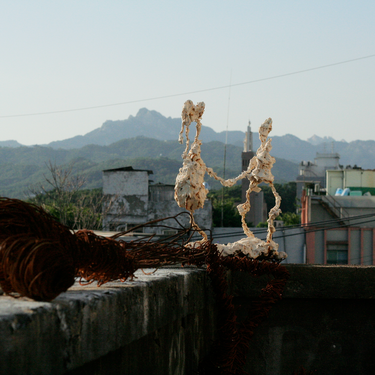 _MG_2124, 정방형.png