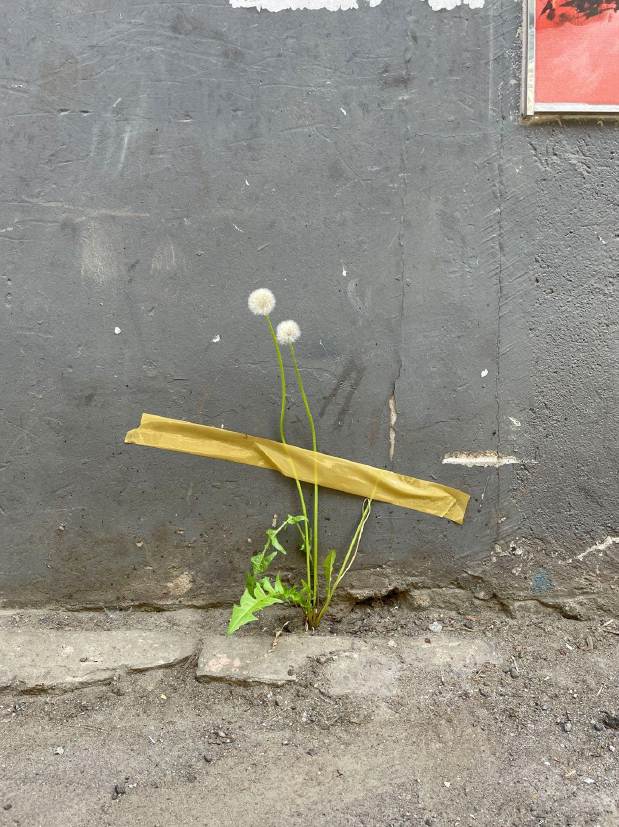 스크린샷 2025-10-30 010943.png