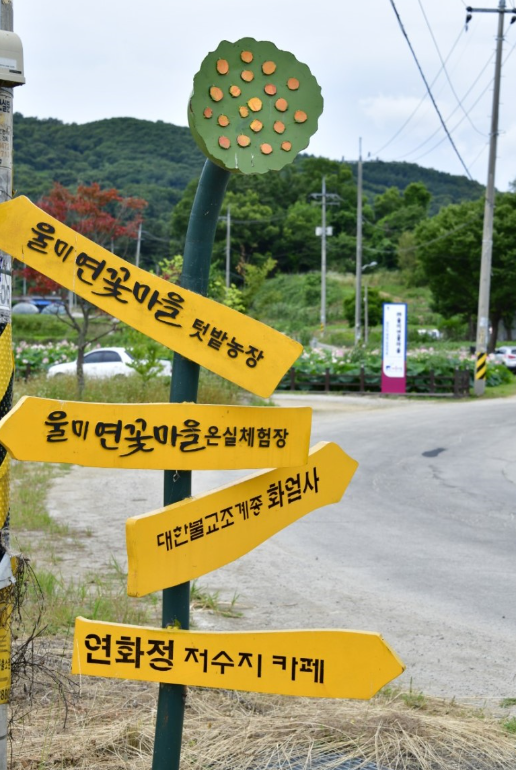 주석 2019-08-27 231944.png