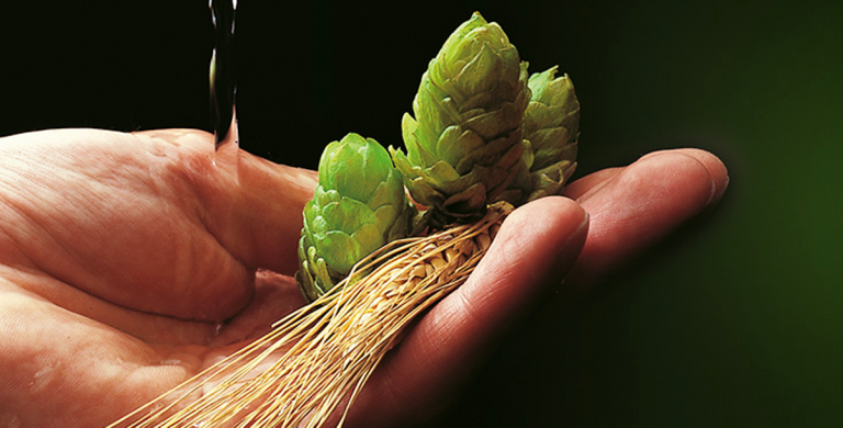 밀맥주 순수령.png