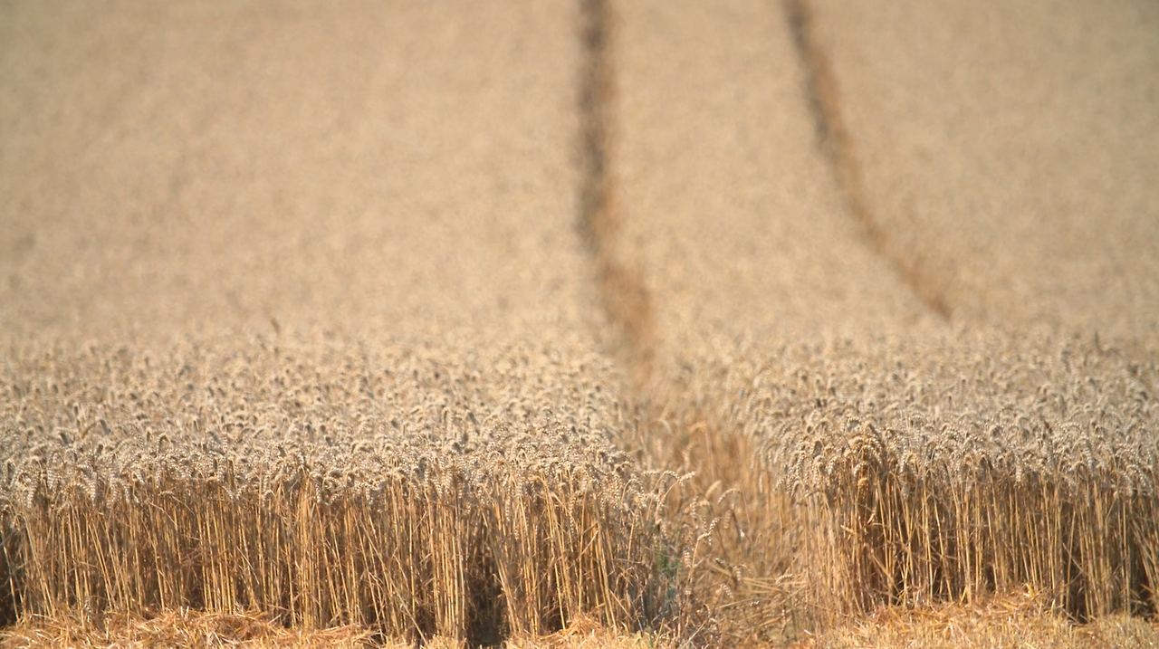 스크린샷 2020-04-08 오후 12.42.34.png