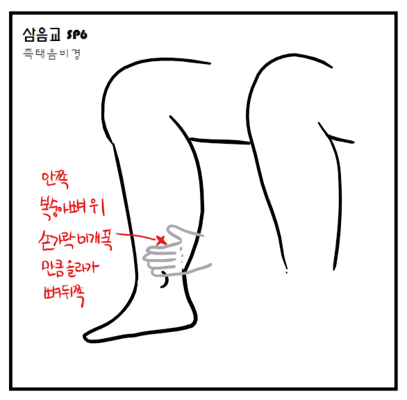 삼음교.png