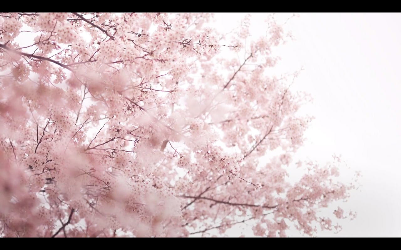 스크린샷 2021-01-20 오후 12.50.37.png