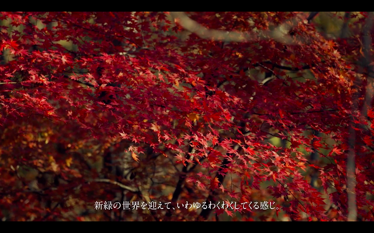 스크린샷 2021-01-20 오후 12.50.56.png