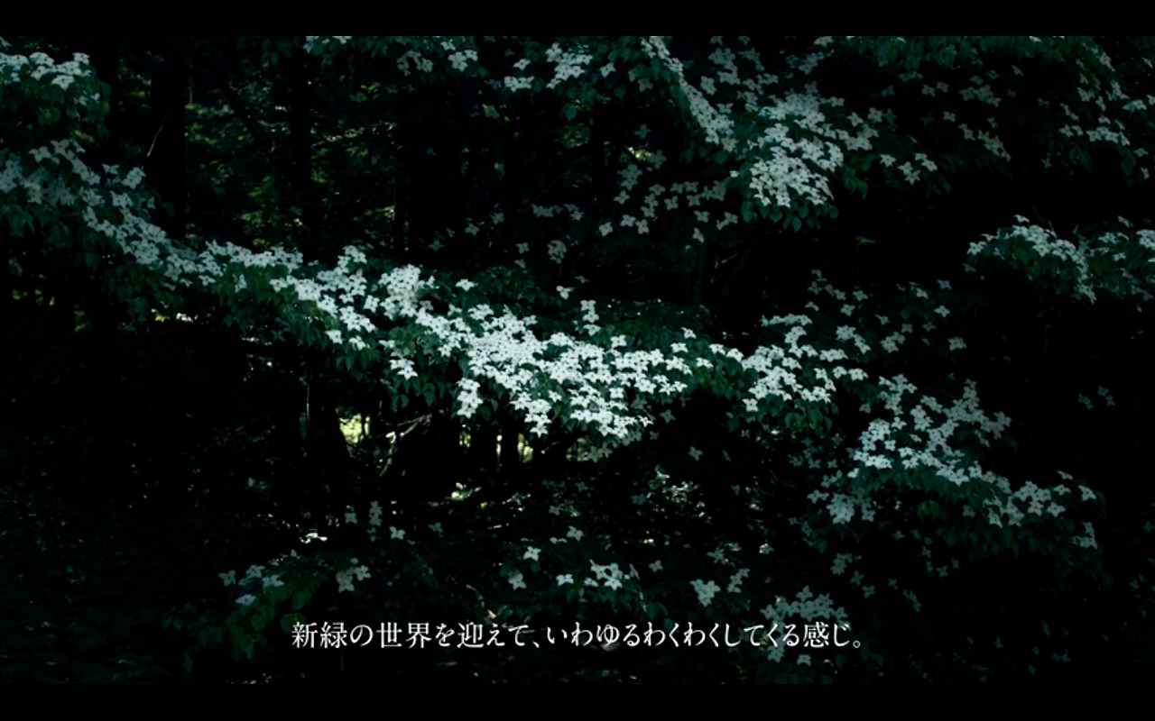 스크린샷 2021-01-17 오후 5.36.36.png