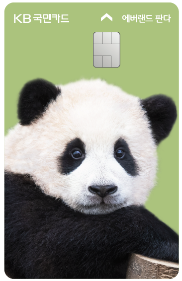 KB국민카드 푸바오 에디션.png