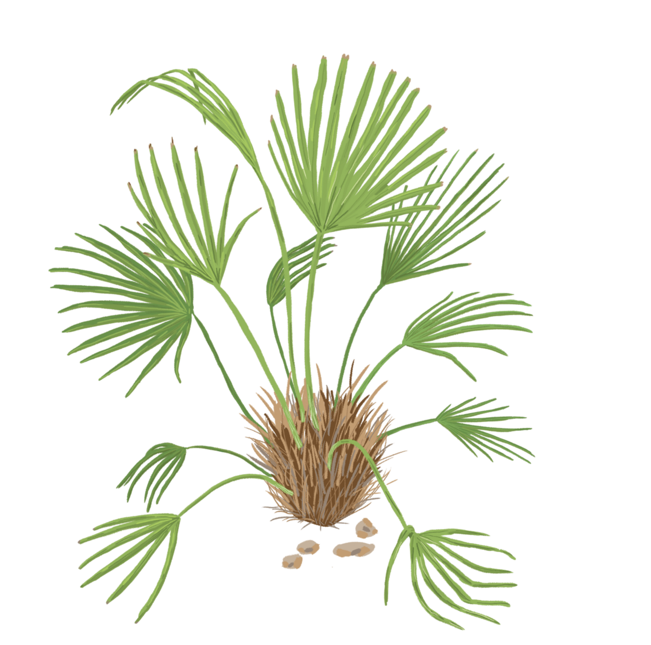 스크린샷 2020-01-13 오후 10.57.15.png