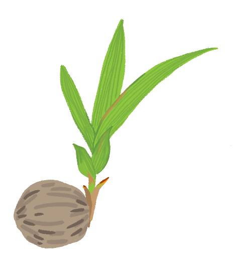 스크린샷 2020-03-12 오후 2.12.14.png