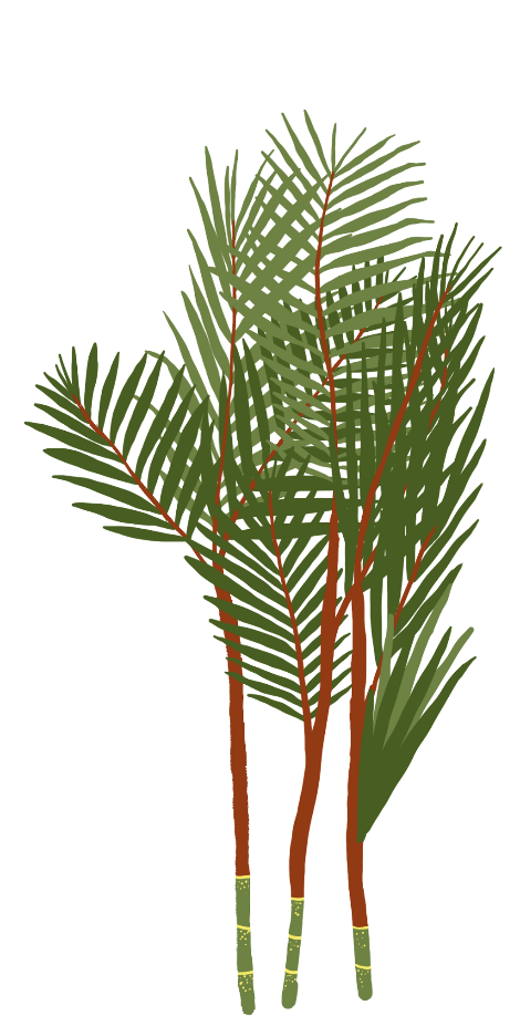 스크린샷 2019-12-17 오후 9.44.03.png