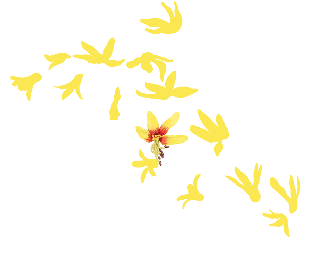 스크린샷 2020-12-20 오전 12.52.45.png