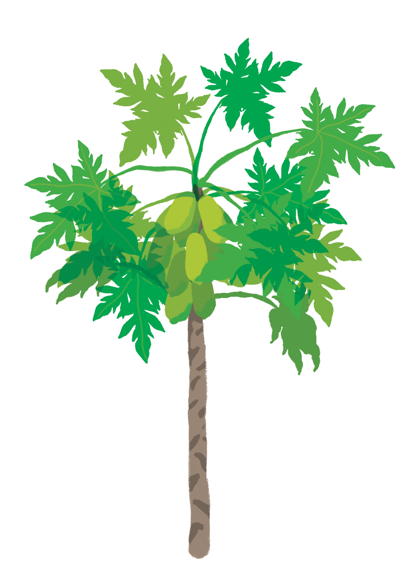 스크린샷 2020-02-28 오후 3.26.05.png