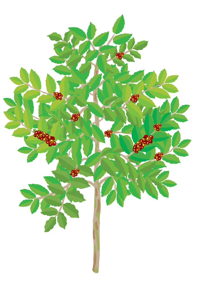 스크린샷 2020-02-26 오전 12.37.21.png