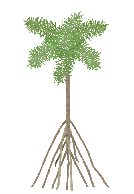 스크린샷 2020-03-12 오후 2.13.55.png