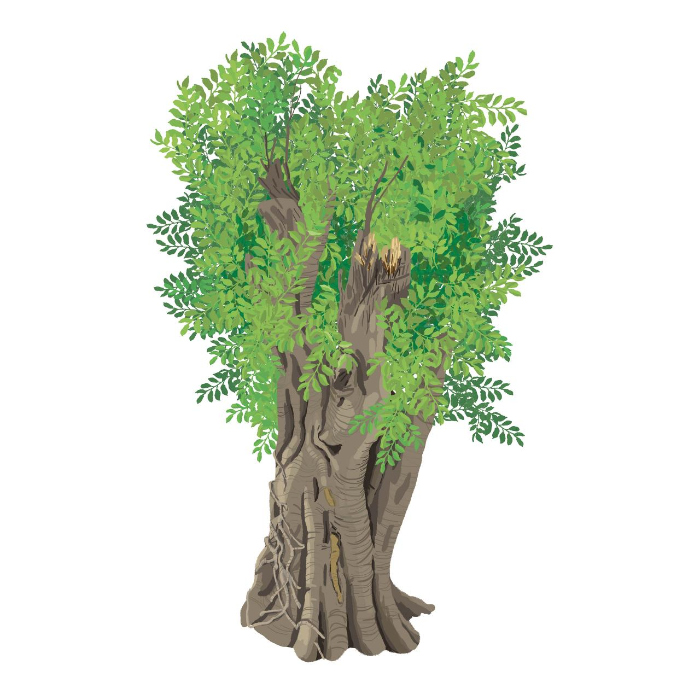 스크린샷 2019-12-17 오후 9.06.17.png