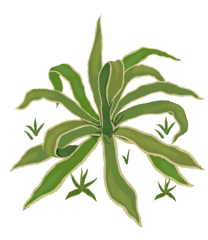 스크린샷 2019-12-16 오전 11.41.52.png