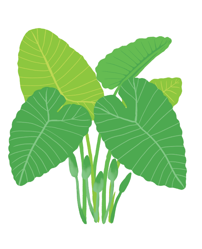 스크린샷 2020-03-12 오후 2.21.35.png