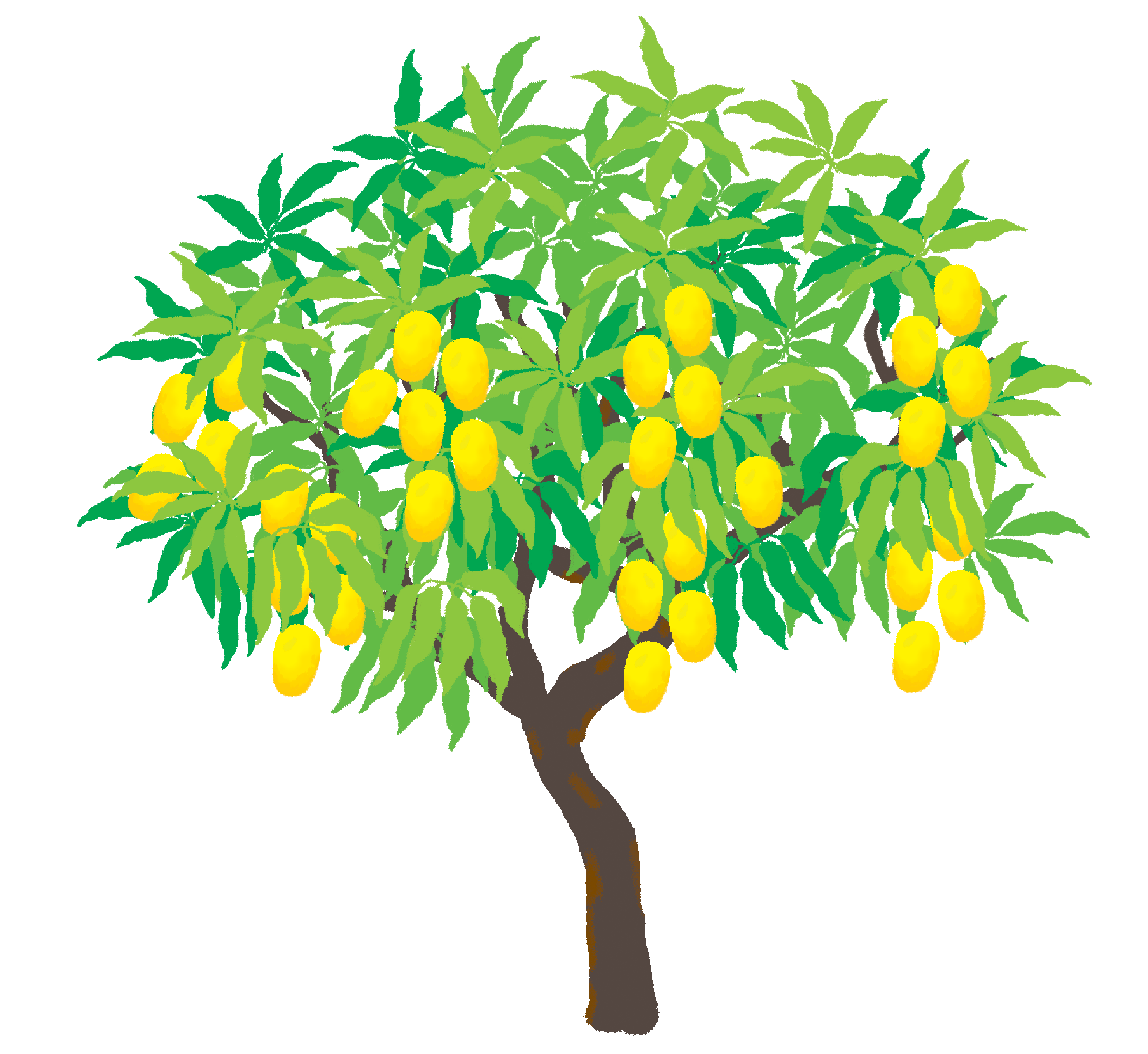 스크린샷 2020-02-26 오전 12.41.02.png