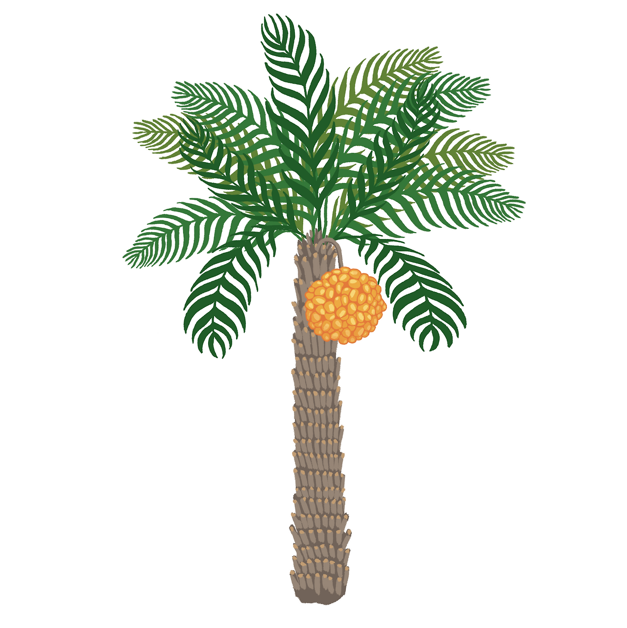 스크린샷 2020-01-13 오후 11.07.09.png