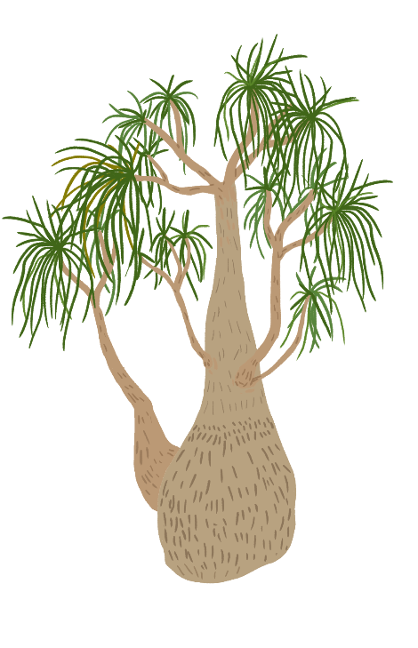 스크린샷 2019-12-16 오전 11.29.17.png