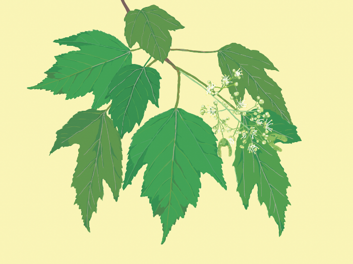 스크린샷 2020-12-30 오후 12.21.12.png