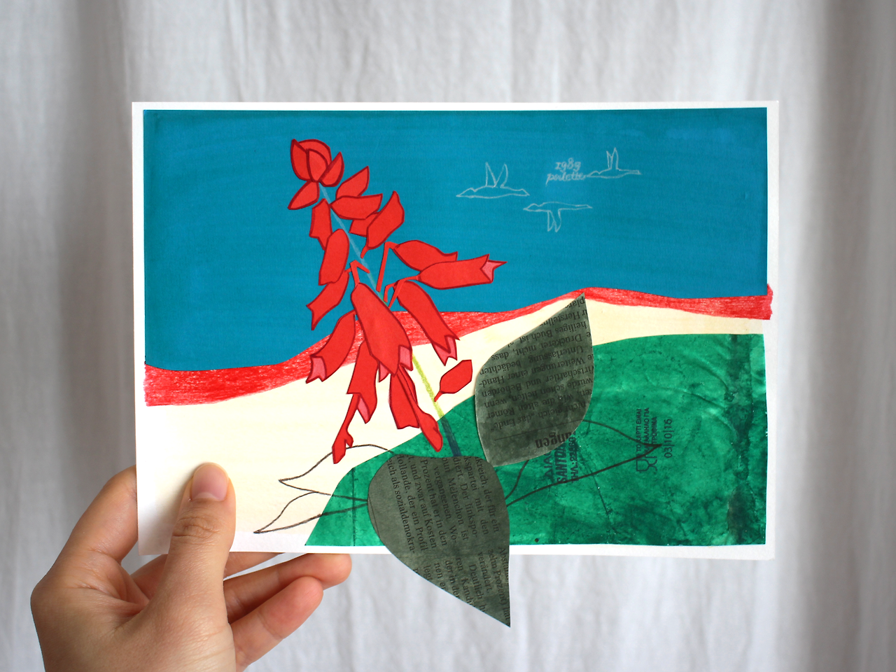 21_11 greek salvia-1.png