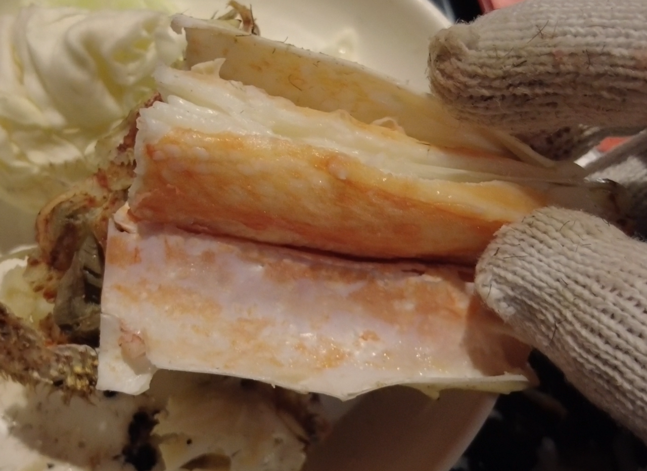 스크린샷 2023-01-31 오후 9.21.13.png