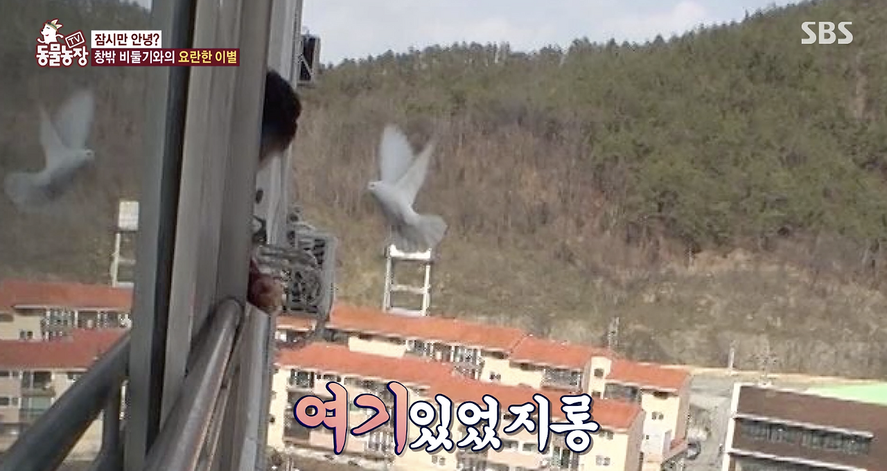 스크린샷 2020-08-13 오후 4.50.59.png