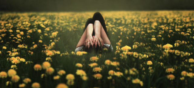 스크린샷 2024-10-05 202528.png