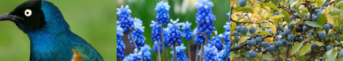 스크린샷 2024-09-29 194624.png