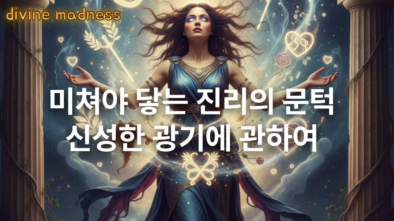 신성한 광기.png